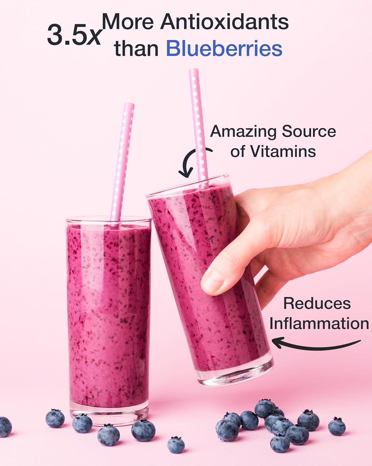 Green Valley Superfoods Organic Aronia Berry Juice Chokeberry Powder, Antioxidant Rich Anthocyanins (12 Ounce)