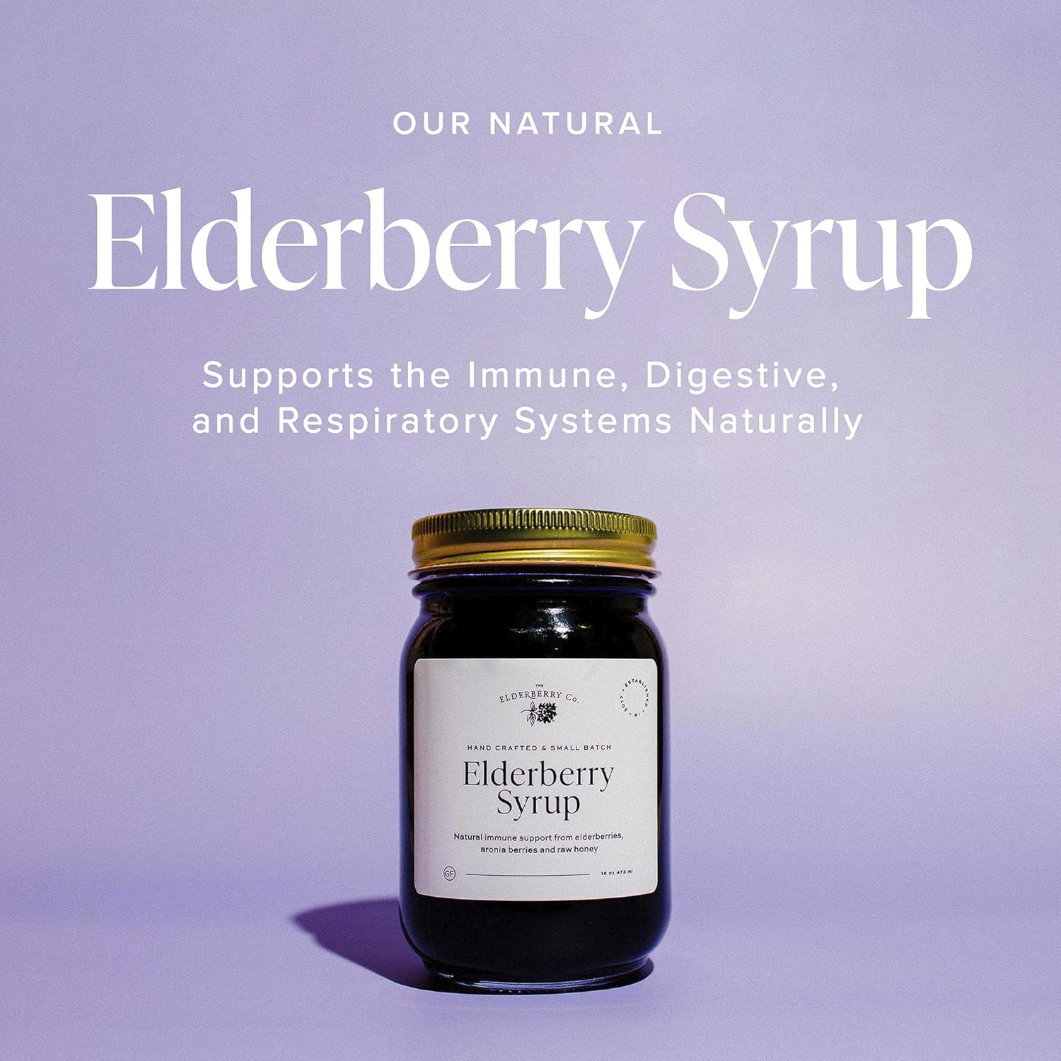 The Elderberry Co. Elderberry Syrup with Aronia Berries Natural Immune Support for Kids and Adults (32 oz.)