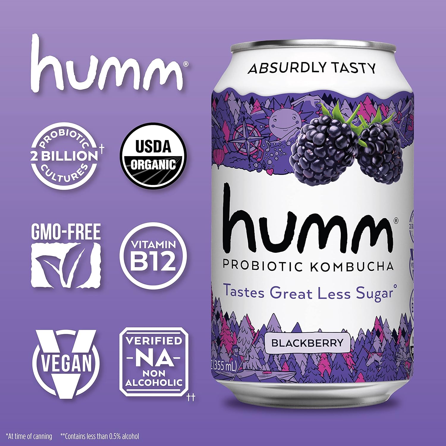 Humm Kombucha Blackberry, Organic, Vegan & GMO Free (12 Pack)