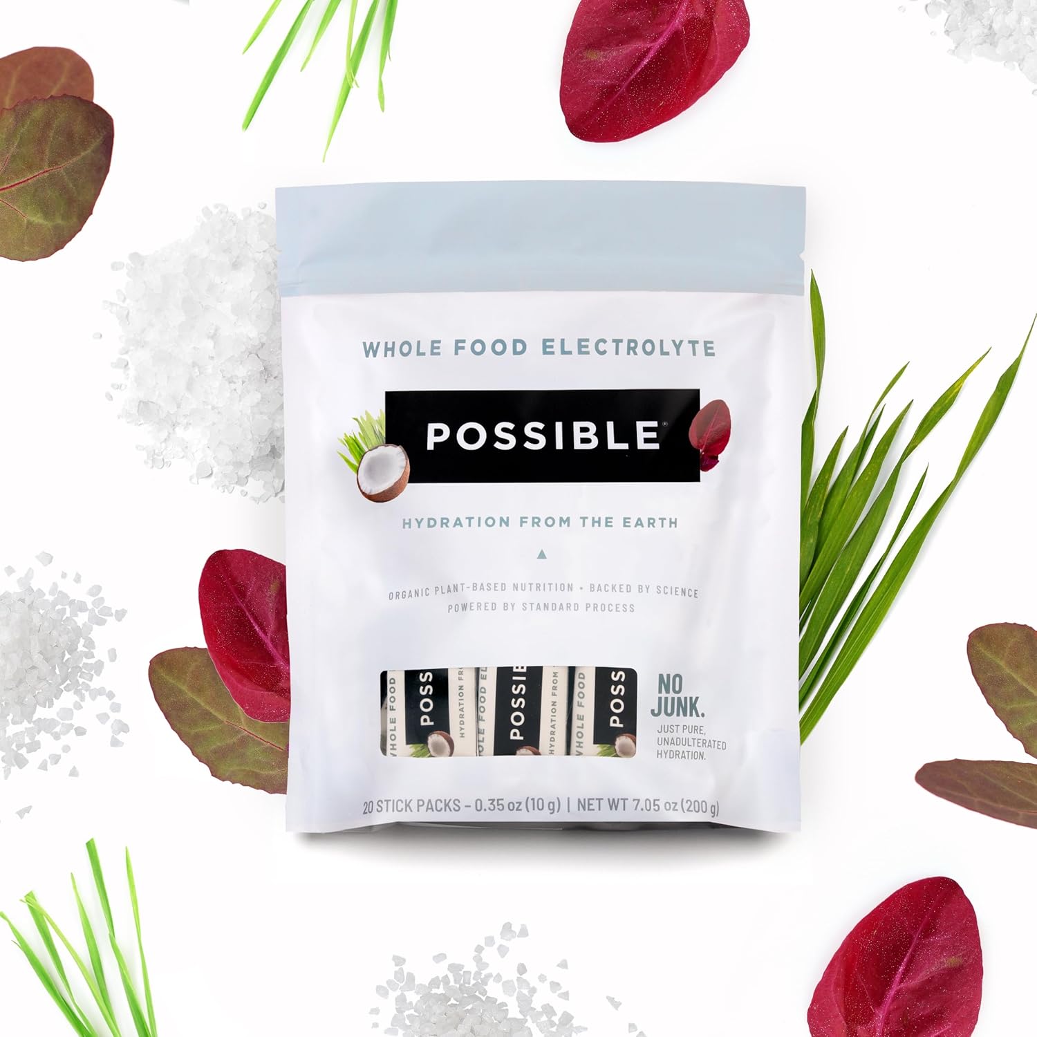 Possible Whole Food Electrolyte - Powder Drink Mix for Pre-Workout, Post-Workout & Everyday Hydration - Vegan, Plant-Based Wellness - Gluten-Free, USDA Organic - Clean Label - 20 Stick Packs