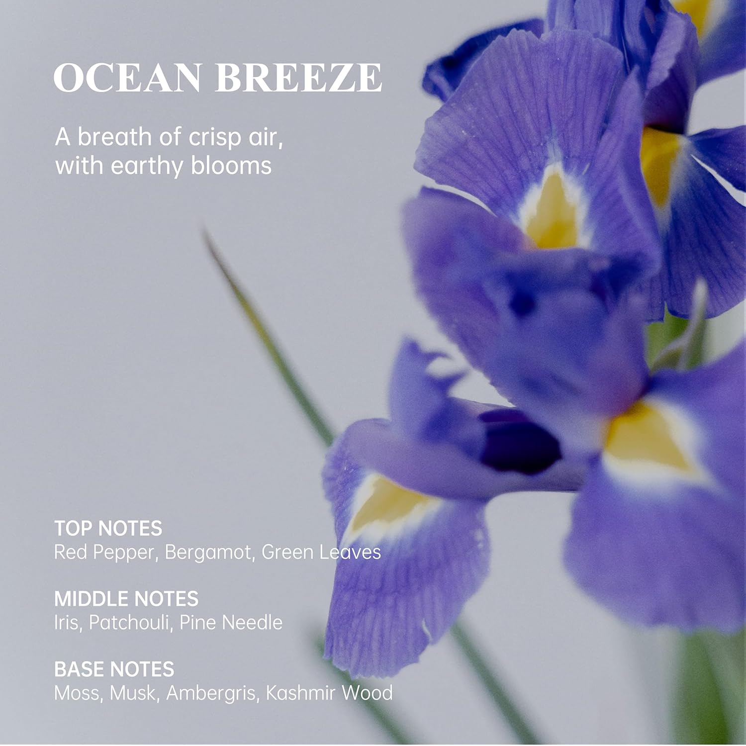 Atom Fresh Hydrating Hand Cream for Women | Ocean Breeze | Barrier-Fortifying Moisture for Dry, Sensitive Skin | With Ceramides, Saccharide Isomerate & Niacinamide | Vegan & Cruelty-Free (3.4 fl oz)