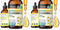 BIO KRAUTER Chamomile Tincture - Chamomile Extract - Supplement for Relaxation and Calmness Support - Alcohol and Sugar Free - Vegan Drops 4 Fl.Oz. (Pack of 2)