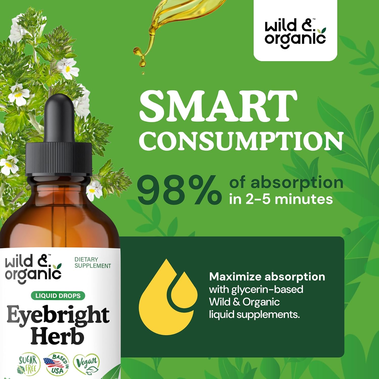 Wild & Organic Eyebright Herb Tincture - Vision Support with Euphrasia Extract - Dietary Eyebright Drops 500 mg - Vegan, Sugar & Alcohol-Free Liquid Supplement - 4 fl oz