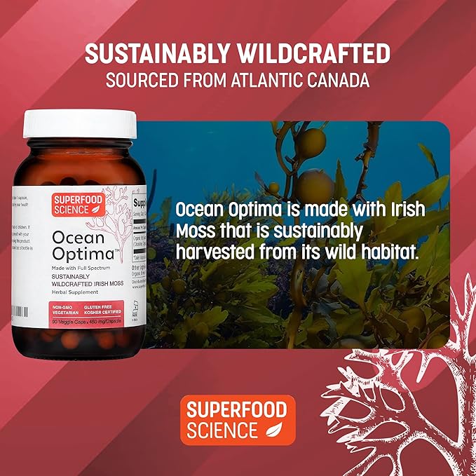 Ocean Optima Organic Sea Moss Capsules (Chondrus crispus) for Skin, Nail, Hair, and Gut, Naturally Occurring Kosher Iodine for Thyroid Support, Single-Ingredient Wild Irish Seamoss, Vegan, 90 Servings