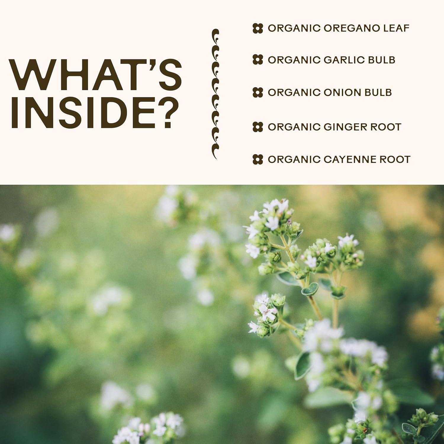 Wooden Spoon Herbs Oregano Daily Wellness Supplement | Immune Support, Digestive Health & Antioxidants | Organic Oregano Leaf & Garlic | Gentle, Stomach-Friendly Formula | 90 Capsules, Vegan & Non-GMO