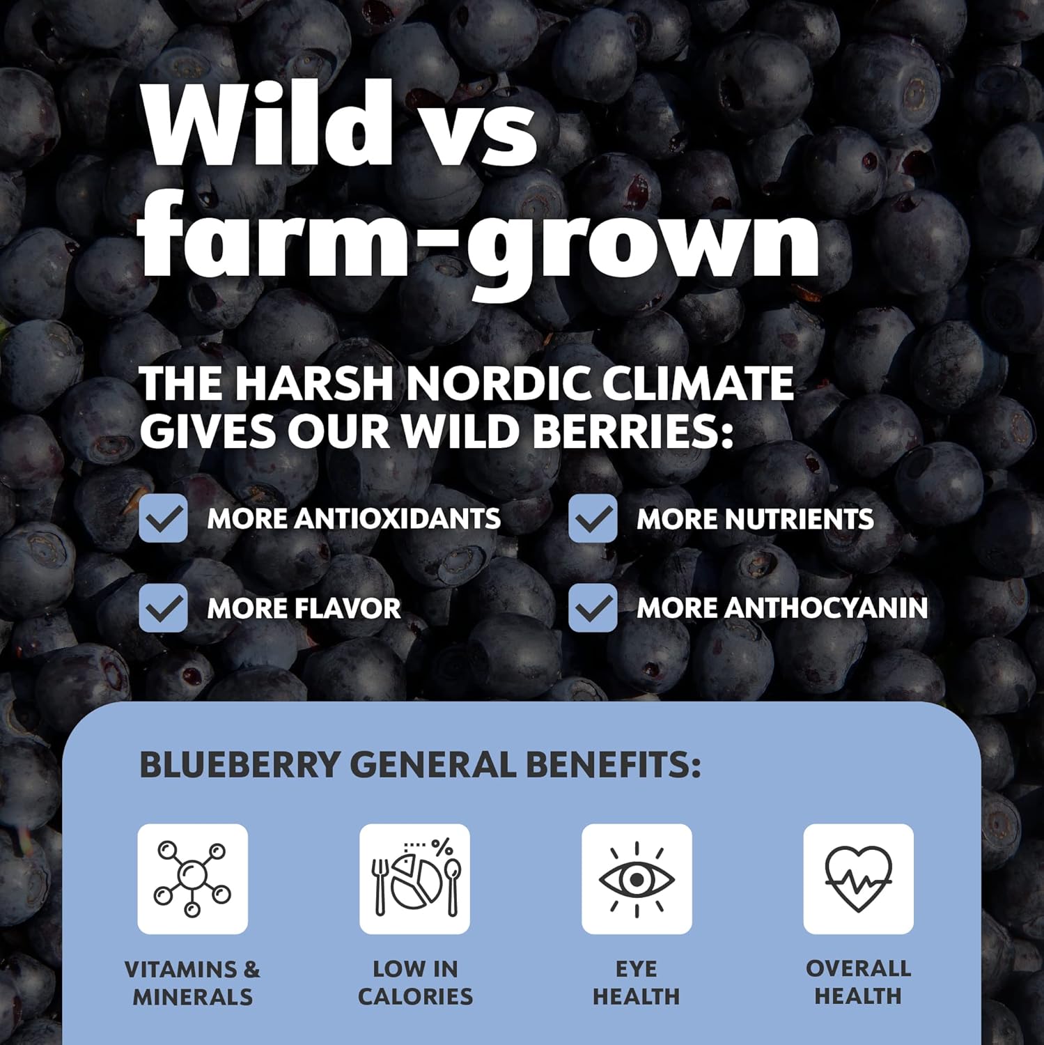 LOOV Organic Wild Blueberry Powder - 15-Day Supply, 3.2 Oz, Good for Smoothie & Breakfast, Freeze-Dried, from Northern Europe, No Added Sugar