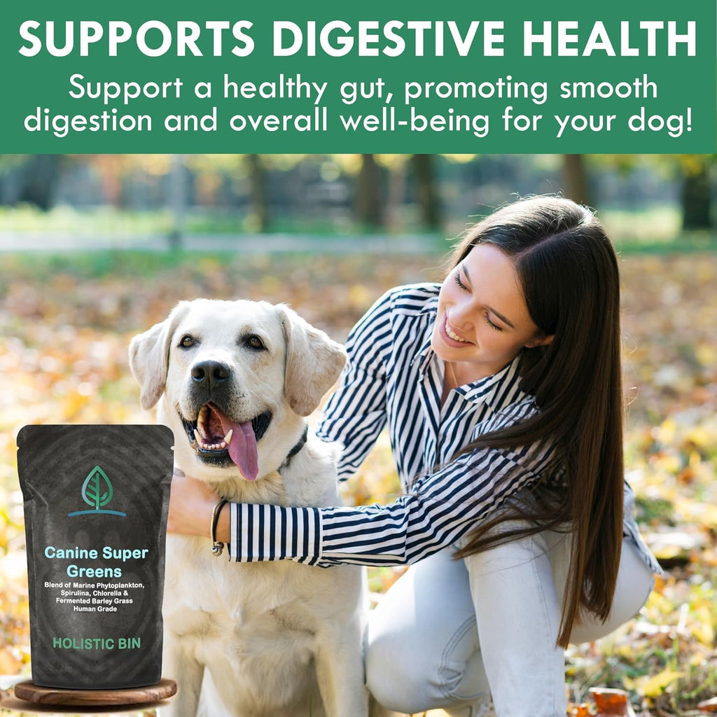 HOLISTIC BIN Canine Super Greens - Plant-Based Nutritional Dog Multivitamin - Essential Vitamins and Supplement for Dogs - Supports Skin, Coat, Bone Health, & Digestive Health for Pet Health (50g)