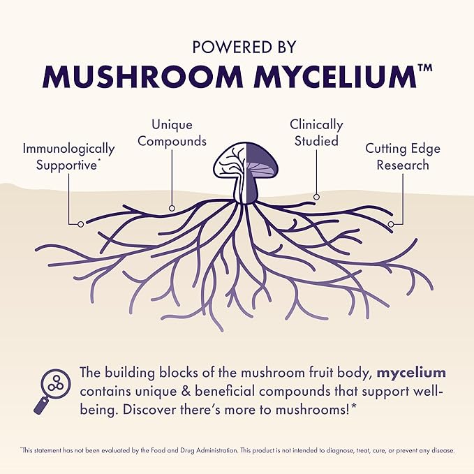 Host Defense MycoBenefits Focus Capsules - Mushroom Supplement for Brain Health Support - Neurological Function Aid for Adults - Includes Lion's Mane, Reishi & B Vitamins - 60 Capsules (30 Servings)