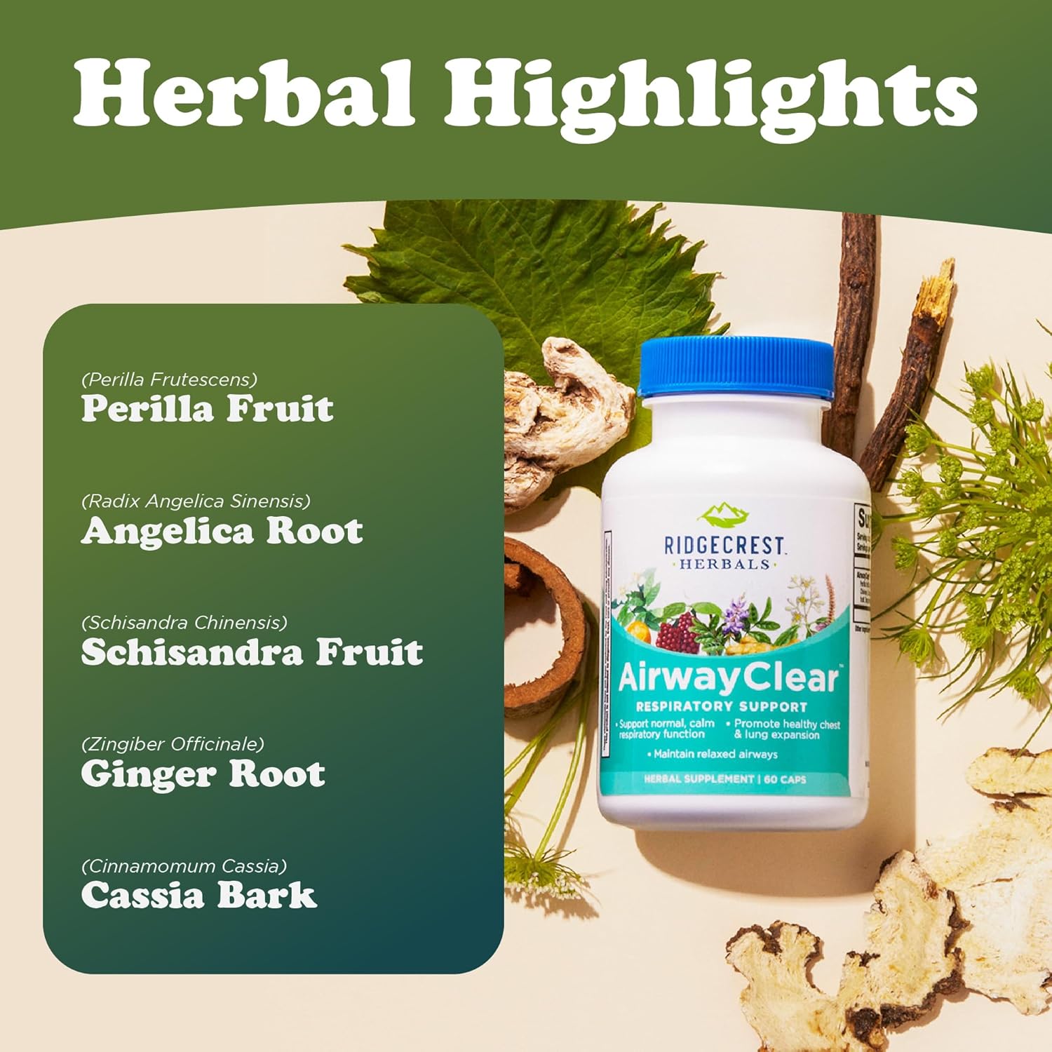 Ridgecrest Herbals AirwayClear, Lung Health and Breathing Support Supplements with Schisandra Fruit, Cassia Bark and Ginger Root, Sinus, Mucus Support, Gluten Free (60 Vegan Caps, 30 Serv)