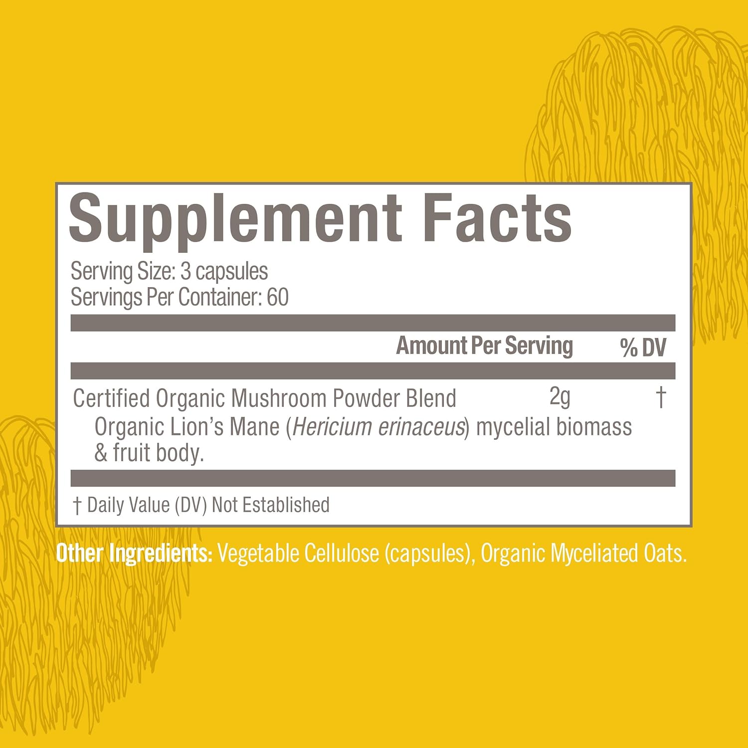 OM MUSHROOM SUPERFOOD Lion's Mane Mushroom Capsules Superfood Supplement, 180 Count, 60 Days, Fruit Body and Mycelium Nootropic for Memory Support, Focus, Clarity, Nerve Health, Creativity and Mood