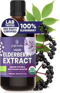 Organic Elderberry Syrup USDA Certified 3.4 fl oz Bottle Liquid Sambucus Elderberry Immune Support Supplement for Kids and Adults Alcohol-Free European Origin Elderberries Extract High Bioavailability