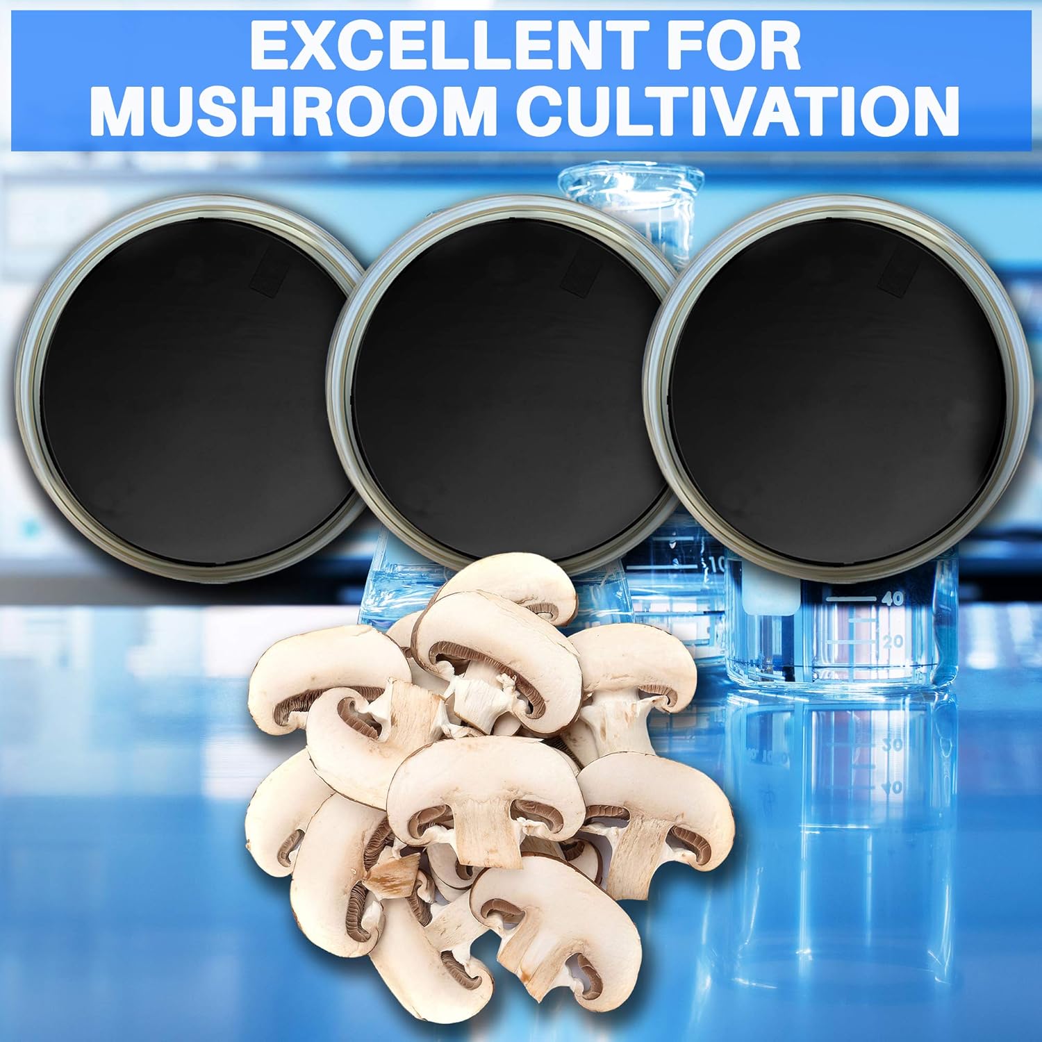 Potato Dextrose Agar Powder With Activated Charcoal 100 Grams - Evviva Sciences - Make Up To 105 Agar Petri Dishes - Excellent Growth Medium for Mushrooms & Science Projects