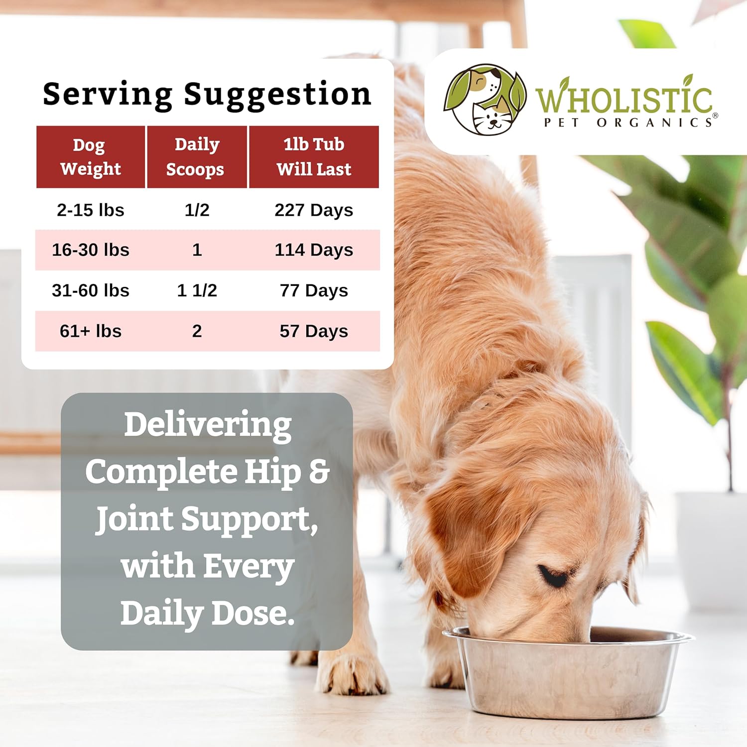 Wholistic Pet Organics Joint Supplement for Dogs - 1 Lb - Daily Dog Hip and Joint Supplement with Glucosamine Chondroitin & MSM to Support Mobility - All Breeds & Ages - Organic Glucosamine for Dogs