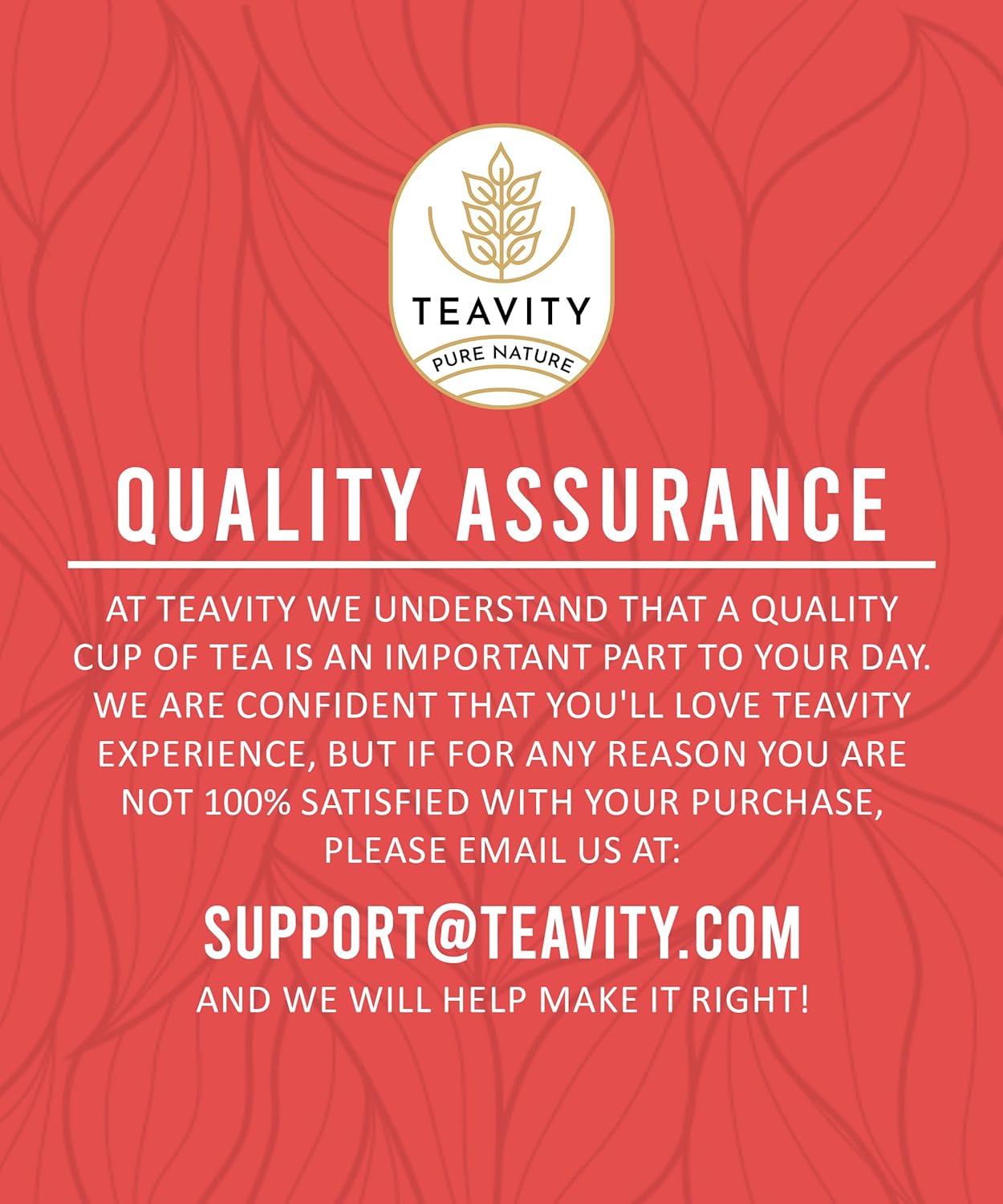 Organic Raspberry Apple Black Tea Pods for Keurig - Naturally Caffeinated Fruit Tea by Teavity (24 Tea Pods)