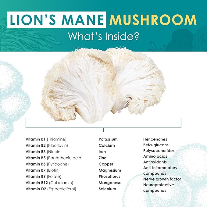 Lions Mane Mushroom Extract Tablets - 30g Monthly Supply - Patented Dual-Extraction Fruiting Body - 35%+ Beta-glucans + Active Compounds - Hardwood Log Grown - No Fillers or Additives