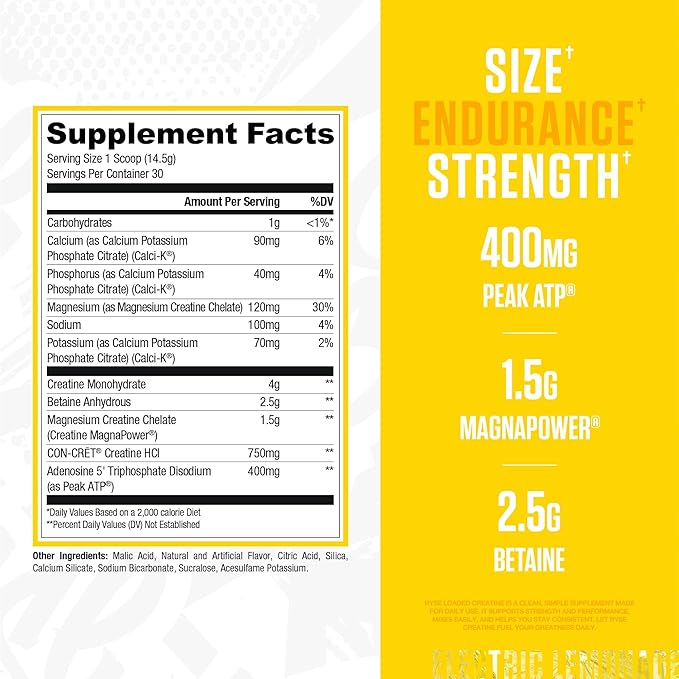 RYSE Loaded Creatine for Men & Women - Electric Lemonade - Muscle Building Formula with 3 Forms of Electrolytes, Betaine Anhydrous and Peak ATP - Strength, Power & Endurance Support - 30 Servings
