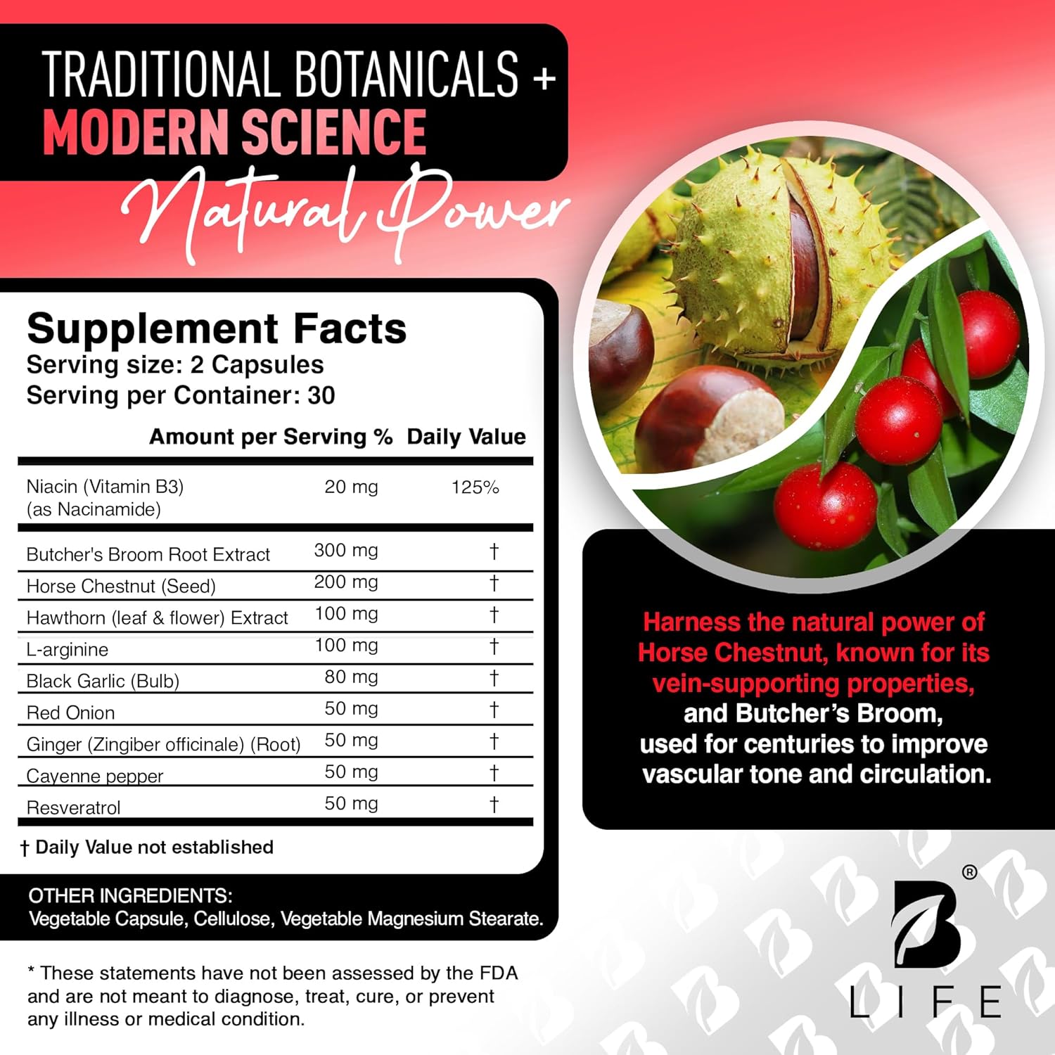 Circulation Support Supplement for Vein & Artery Health | Vascular Support with L-Arginine, Horse Chestnut & Butcher’s Broom | Promotes Healthy Leg Circulation & Vein Function | 60 Capsules