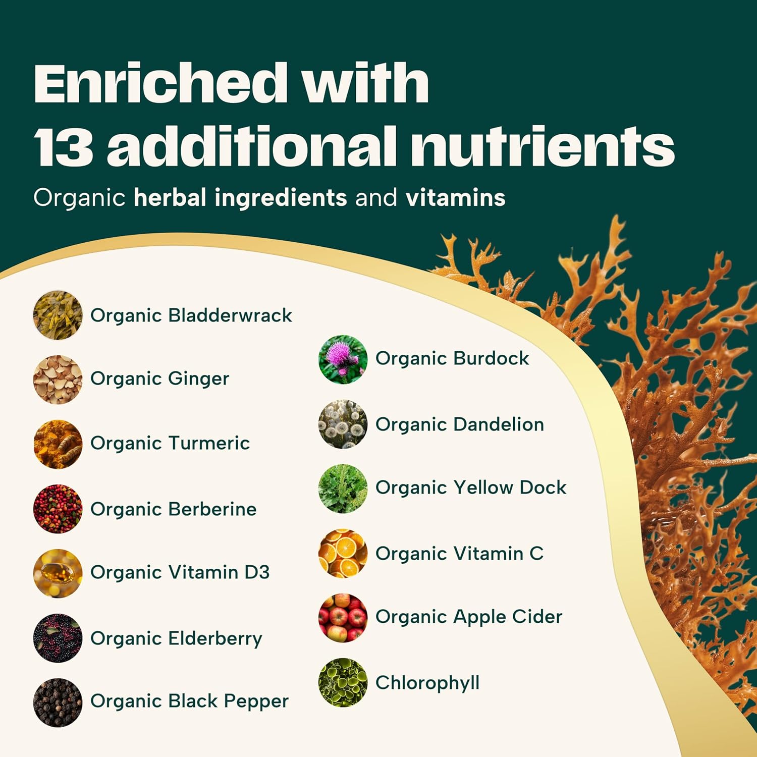 Organic Sea Moss Black Seed Oil Ashwagandha Ginger Capsules. Sea Moss Capsules with Black Seed Oil, Ashwagandha, Turmeric, Bladderwrack, Burdock Root, Apple Cider Vinegar