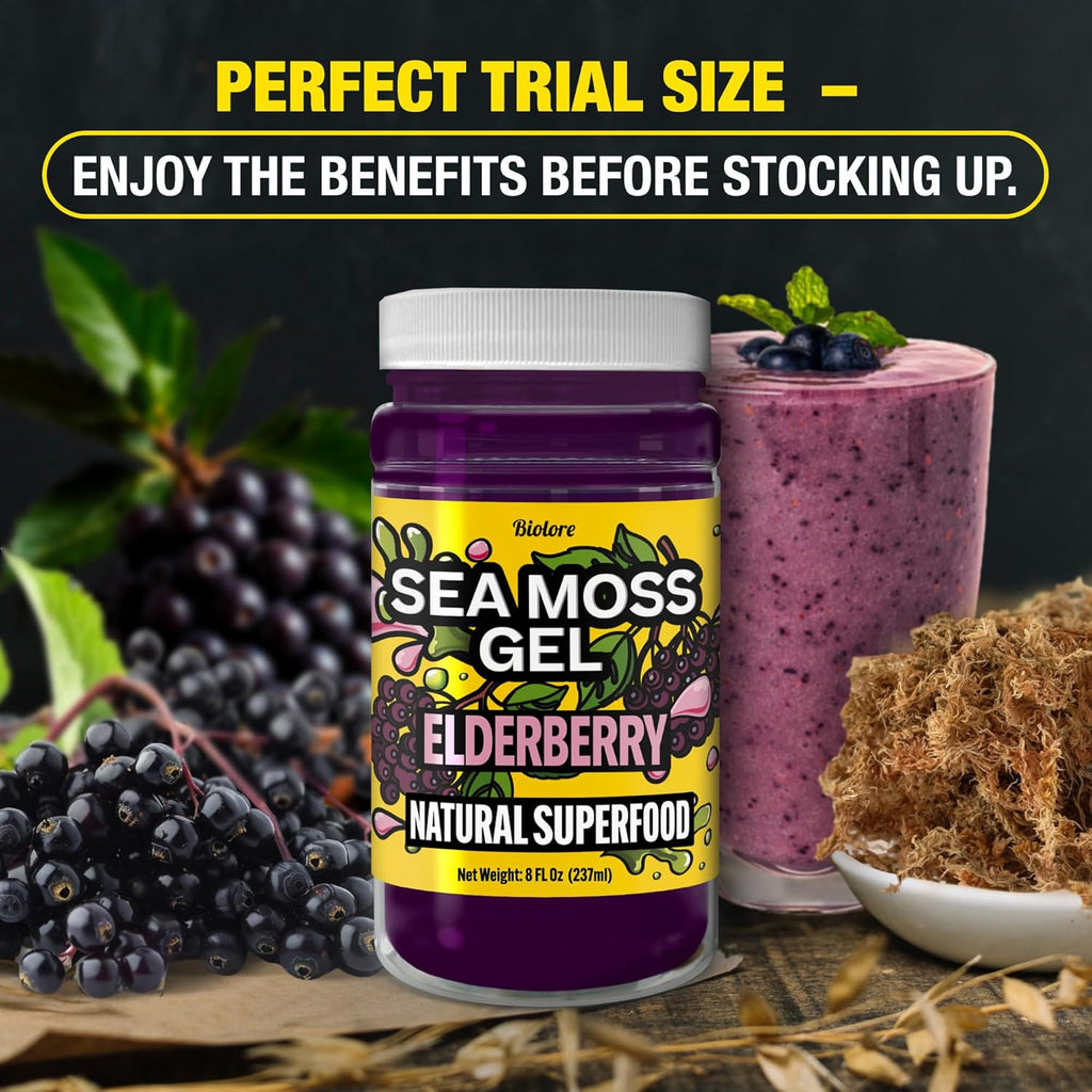 Biolore Sea Moss Gel – Elderberry, Made in USA, No Added Sugar, Rich in Vitamins & Minerals, Vegan Superfood, Seamoss Jam & Spread Gift (8 oz)