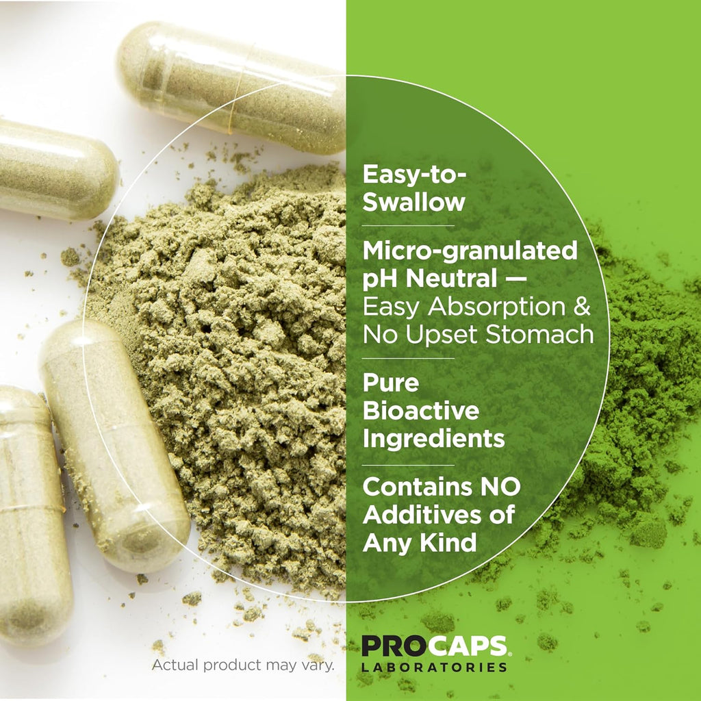 ANDREW LESSMAN PC Liver and Brain Benefits + Liver Anti-Oxidant Extracts Kit: 300 Capsules (180+120) - Phosphatidyl Choline, Milk Thistle, Artichoke, Curcumin.