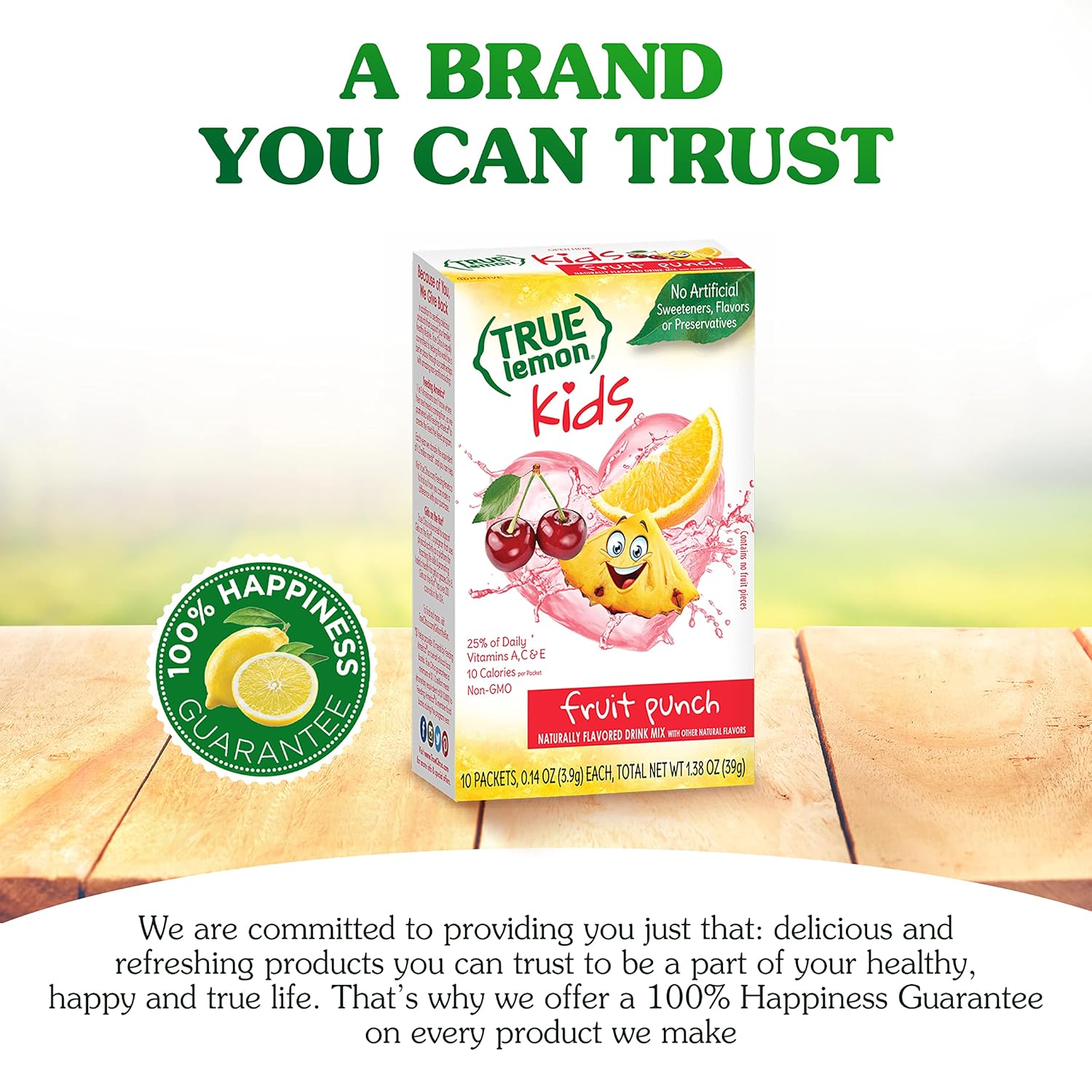 TRUE LEMON Fruit Punch Packets - Low Sugar, No Preservatives Kids Hydration Drink Mix (Pack of 4)