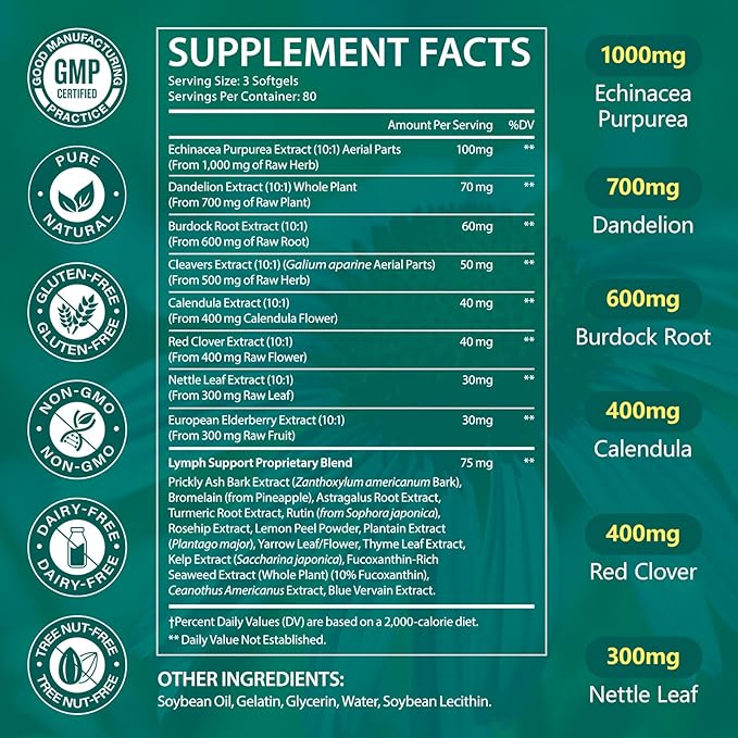 Lymphatic Support Supplement – Advanced Botanical Complex with Echinacea, Dandelion & Elderberry – Antioxidant-Rich Daily Wellness Formula – 240 Softgels