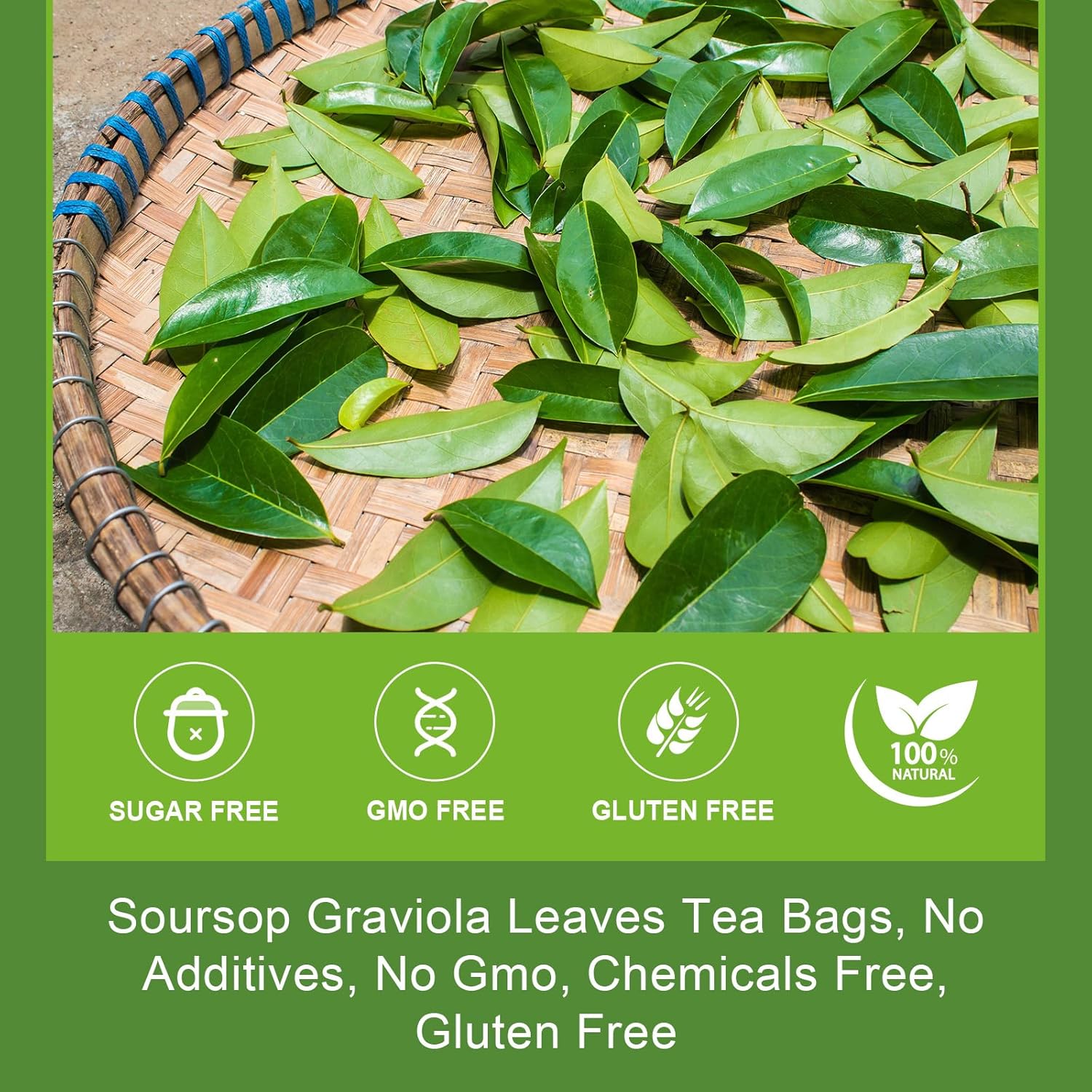 Organic Soursop Leaves Tea Bags - Soursop Graviola Leaves Herbal Tea bags for Immune Support, Antioxidant - Guanabana Leaves - Caffeine Free - 30 Tea Bags