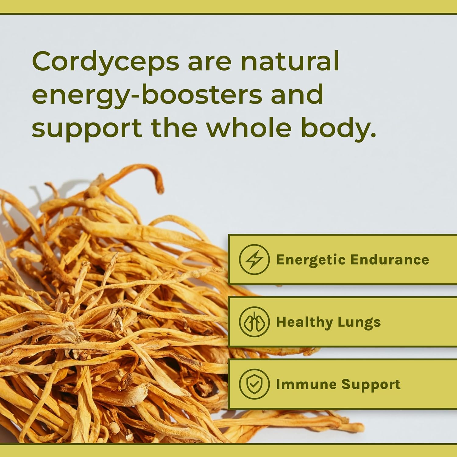 Naturealm Cordyceps Mushroom Powder - Organic Mushroom Extract for Focus, Energy & Mental Clarity - 100% Mushroom Fruiting Bodies - Cordyceps Militaris Supplement (60 Servings)