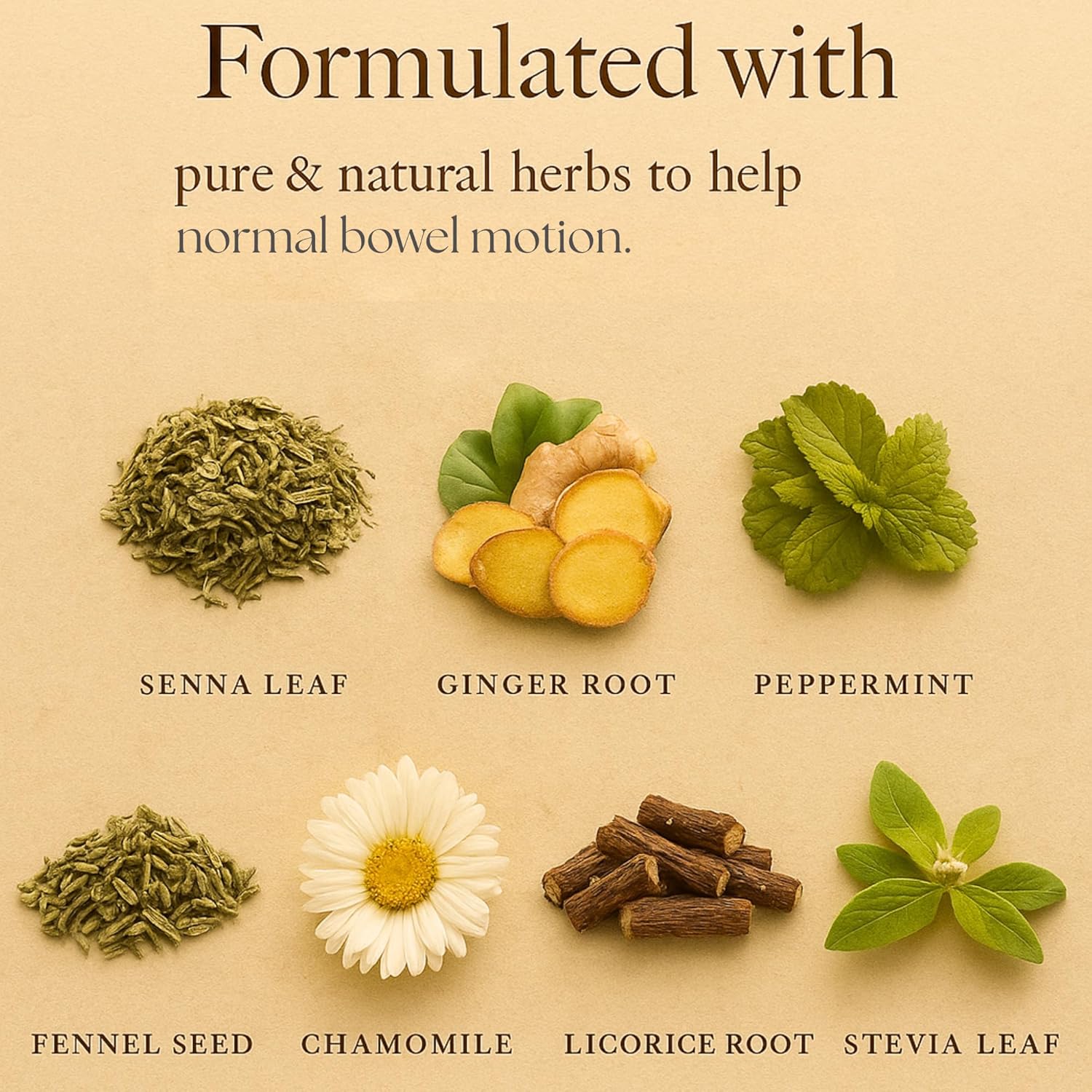Dherbs Bowel Motion Tea Detox Drink, 20 Herbal Tea Bags (1 Pack) - Made with Senna Leaf, Ginger Root, Peppermint & More for Colon & Stomach Cleanse