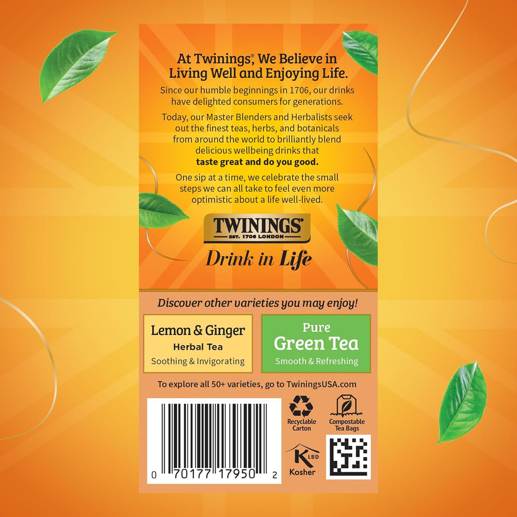 Twinings Orange & Cinnamon Spice Herbal Tea Individually Wrapped Bags, 20 Count (Pack of 2), Naturally Caffeine-Free, Enjoy Hot or Iced, 20 Teabags