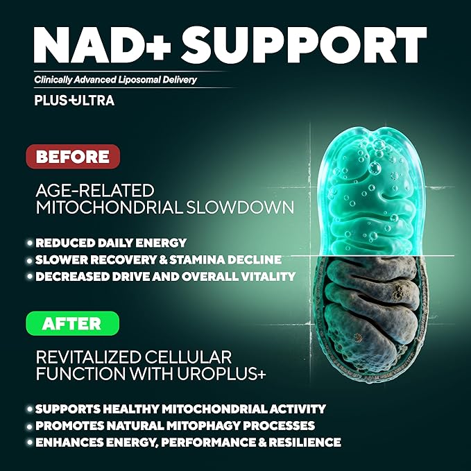 UROLITHIN+ NAD+ 1250mg Longevity Complex – Liposomal Mitochondrial Support with Urolithin A, Nicotinamide Riboside & Resveratrol – Promotes Cellular Energy, Anti-Aging & Muscle Recovery