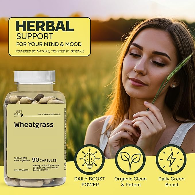 Organic Wheatgrass Capsules 500 mg, 90 Vegan Capsules | Detox, Energy, Digestion & Immune Support | Chlorophyll-Rich Green Superfood, Vegan, Gluten-Free