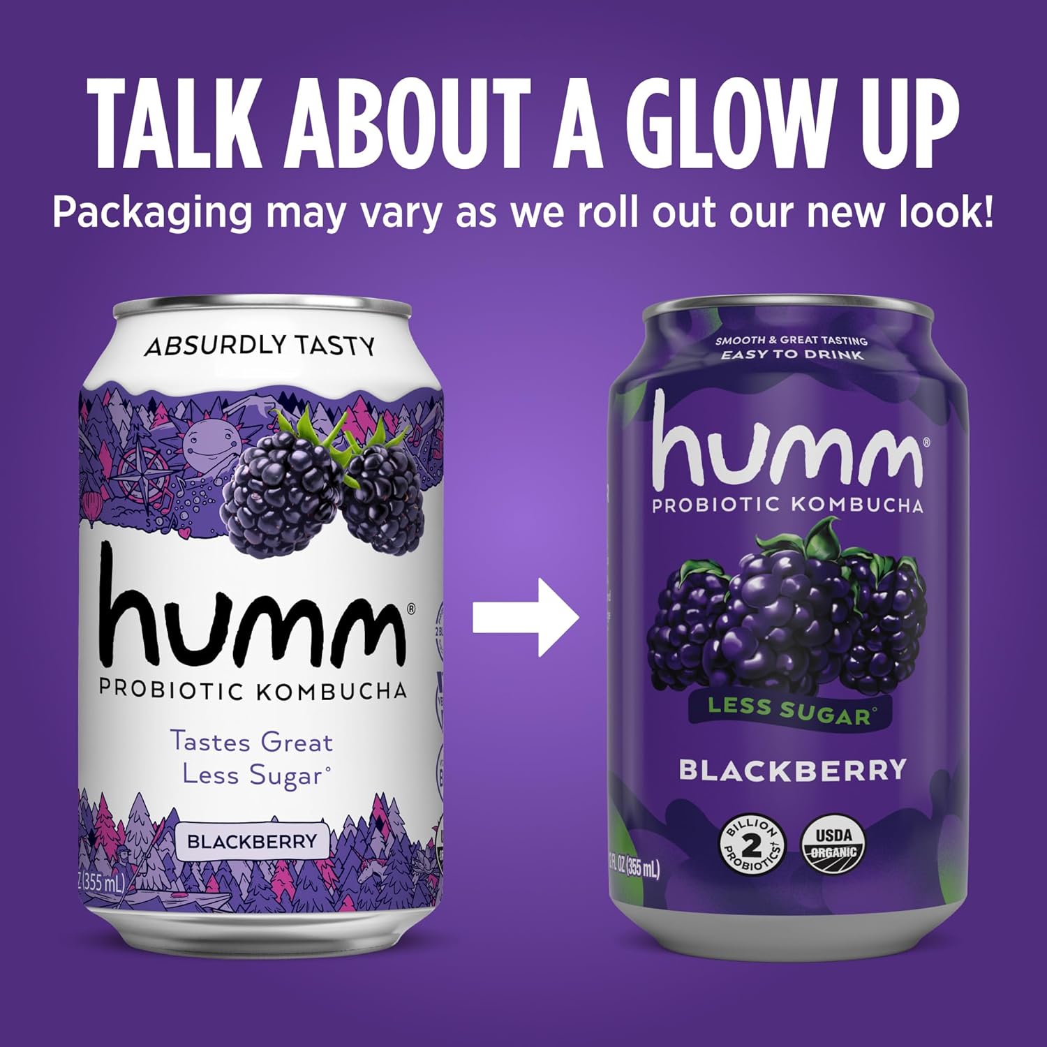 Humm Kombucha Blackberry, Organic, Vegan & GMO Free (12 Pack)