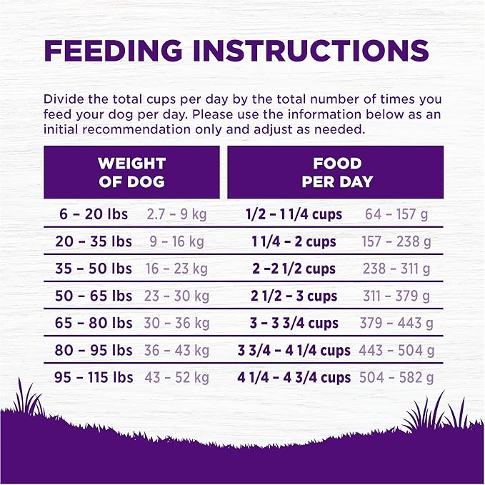 Wellness Complete Health Dry Dog Food, Wholesome Grains, Natural, Whitefish & Sweet Potato Recipe, (26-Pound Bag)