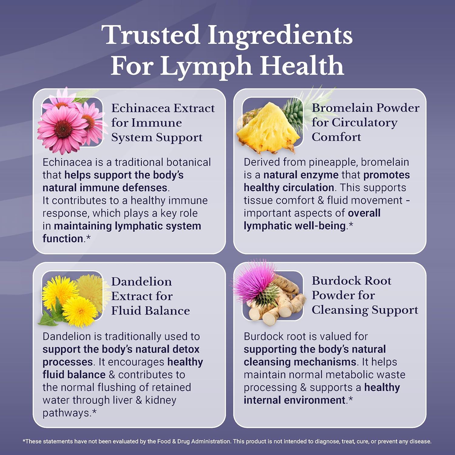 Lymph MD - Lymphatic System Supplement with 9 Botanicals - Dandelion, Burdock, Echinacea, Lemon & More - Supplements for Men and Women - 60 Capsules