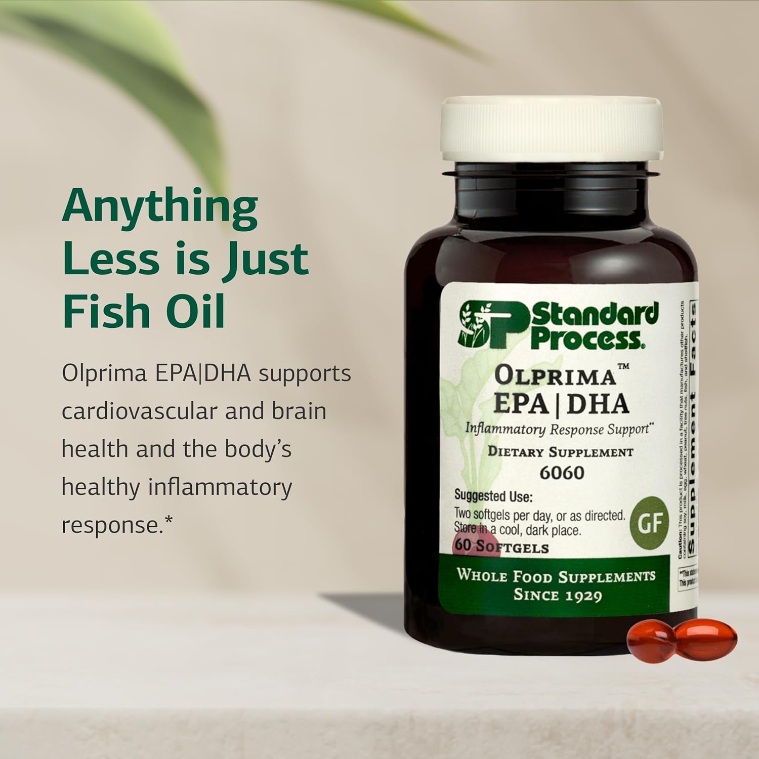 Standard Process Olprima EPA|DHA - Supplement for Brain Health with Omega-3 - Supports a Healthy Heart - Gluten-Free, Non-Dairy & Non-Soy - 60 Softgels (30 Servings)