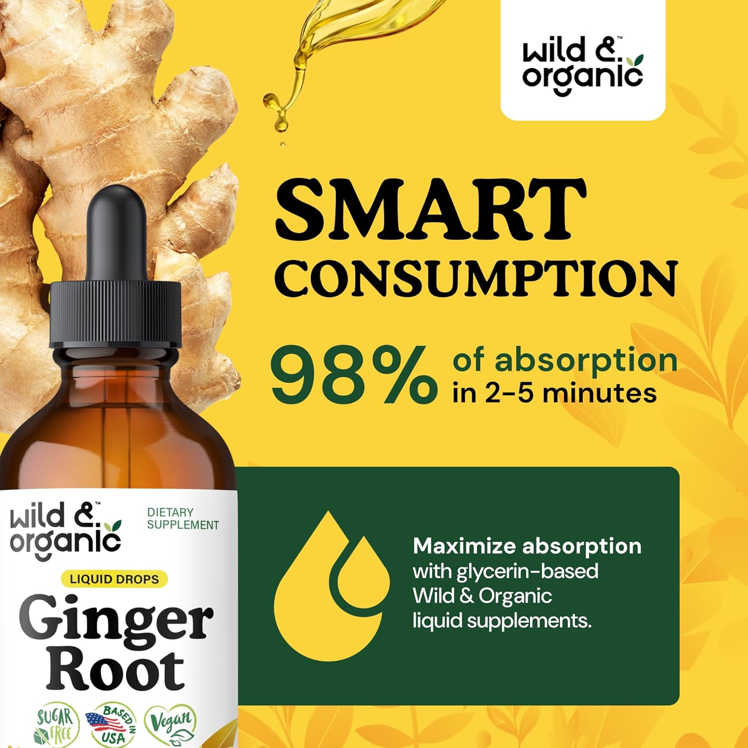 Wild & Organic Ginger Root Extract Drops - Immune & Digestive Support - Liquid Ginger Supplements - Vegan, Sugar & Alcohol-Free Tincture - 4 fl oz