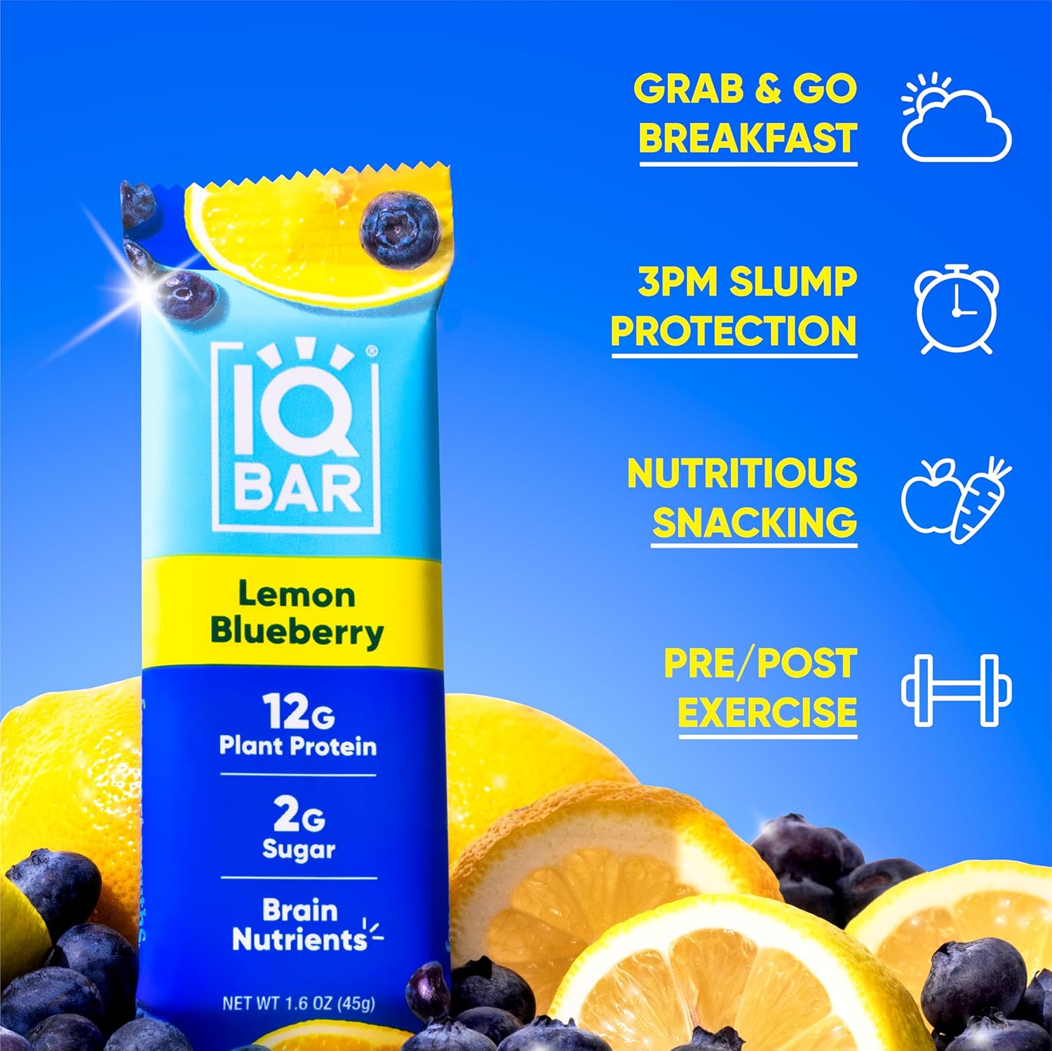 IQBAR Brain and Body Plant Protein Bars - Lemon Blueberry - 24-Count - Keto, Vegan, Low Carb, High Fiber, Gluten Free, Dairy Free, Low Sugar Snack with Nutrients for Focus, Energy, Meal Replacement