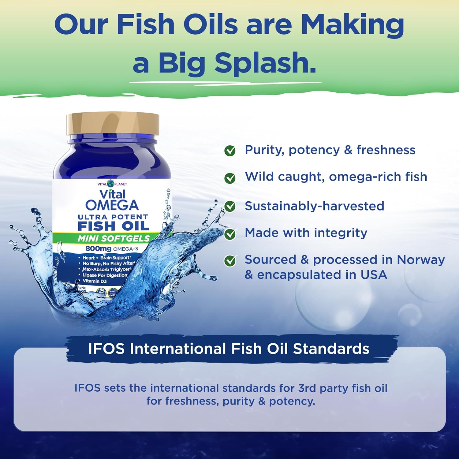 Vital Planet - Vital Omega 3 Fish Oil Mini Softgels Supplement with 800mg of High Potency Wild Caught Omega 3 Fatty Acid Supplements EPA DHA and DPA for Heart Health 60 Softgels (Packaging May Vary)