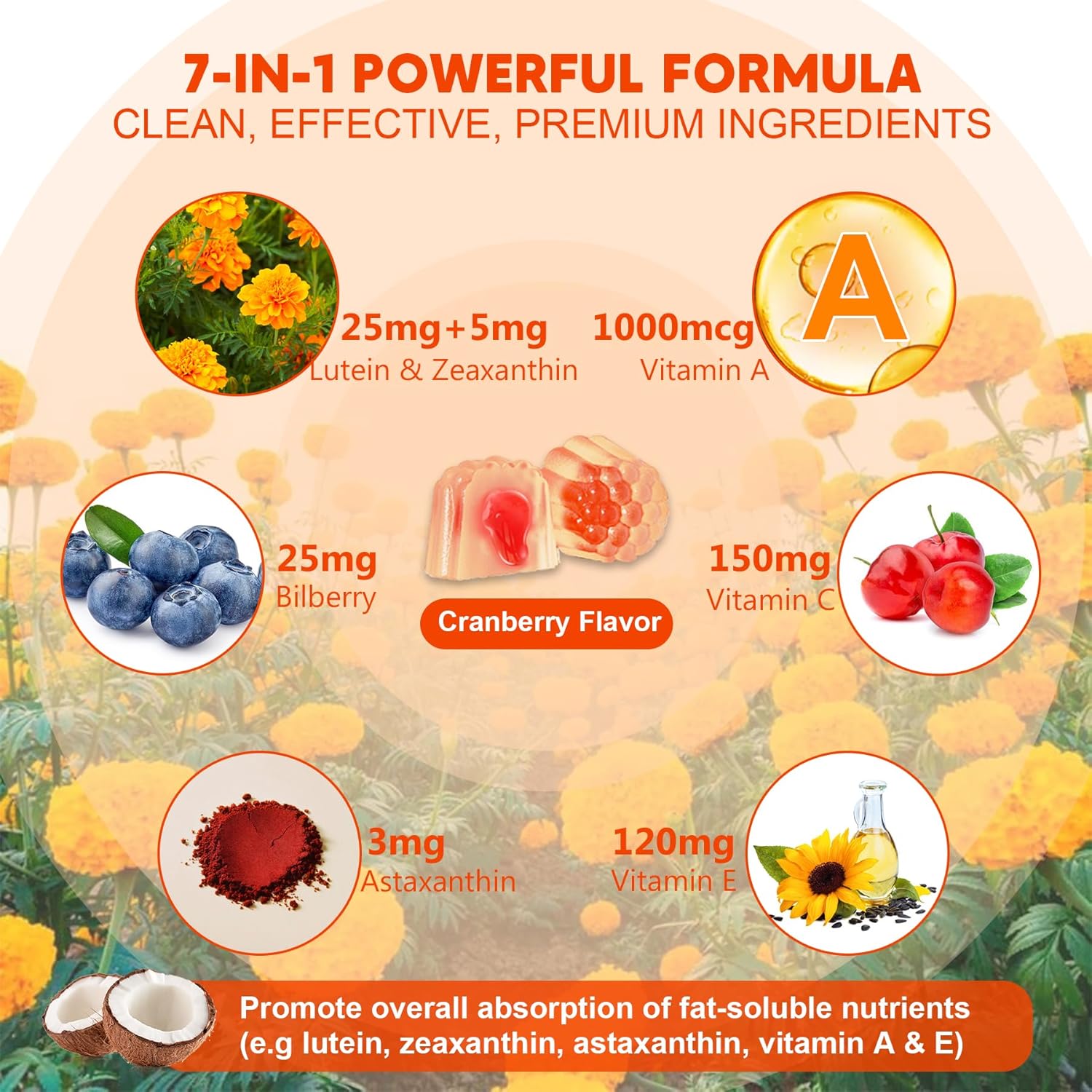 2 Pack Lutein and Zeaxanthin Supplements Gummies (25mg) Vitamins A, C, E, Bilberry, Astaxanthin - Coconut Oil for Better Absorption - for Adults & Teens Vision, Eye, Brain, Skin - Vegan, Sugar Free
