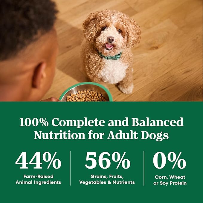 Nutro Natural Choice Adult Small Bites Dog Food, Chicken & Brown Rice Recipe, 5 lb. Bag