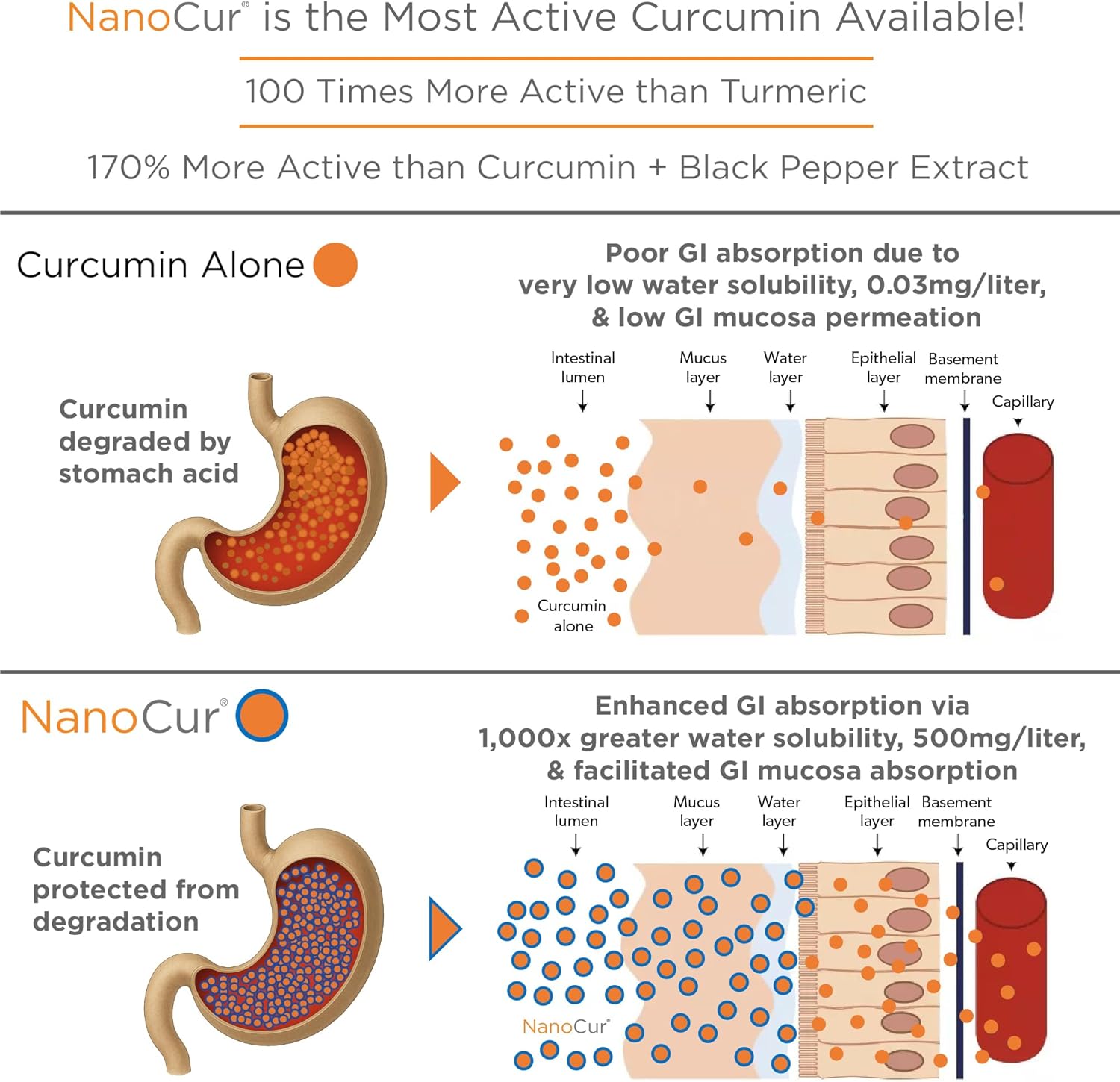 Turmeric Curcumin - 100x More Active Than Turmeric, 170% More Active Than Curcumin + Black Pepper Extract. Joint Support, Relief, and Energy You’ll Feel. Organic Curcumin/Plant-Based Carrier.
