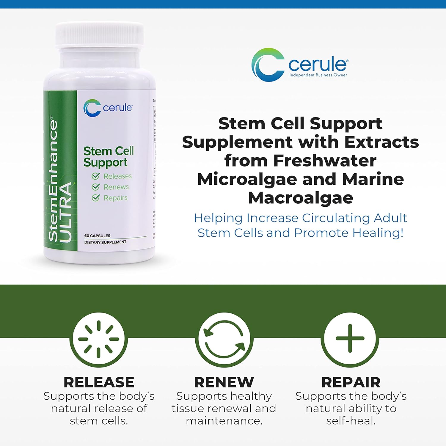 Cerule StemEnhance Ultra Stem Cell Support Supplement with Extracts from Freshwater Microalgae and Marine Macroalgae to Help Increase Circulating Adult Stem Cells and Promote Healing
