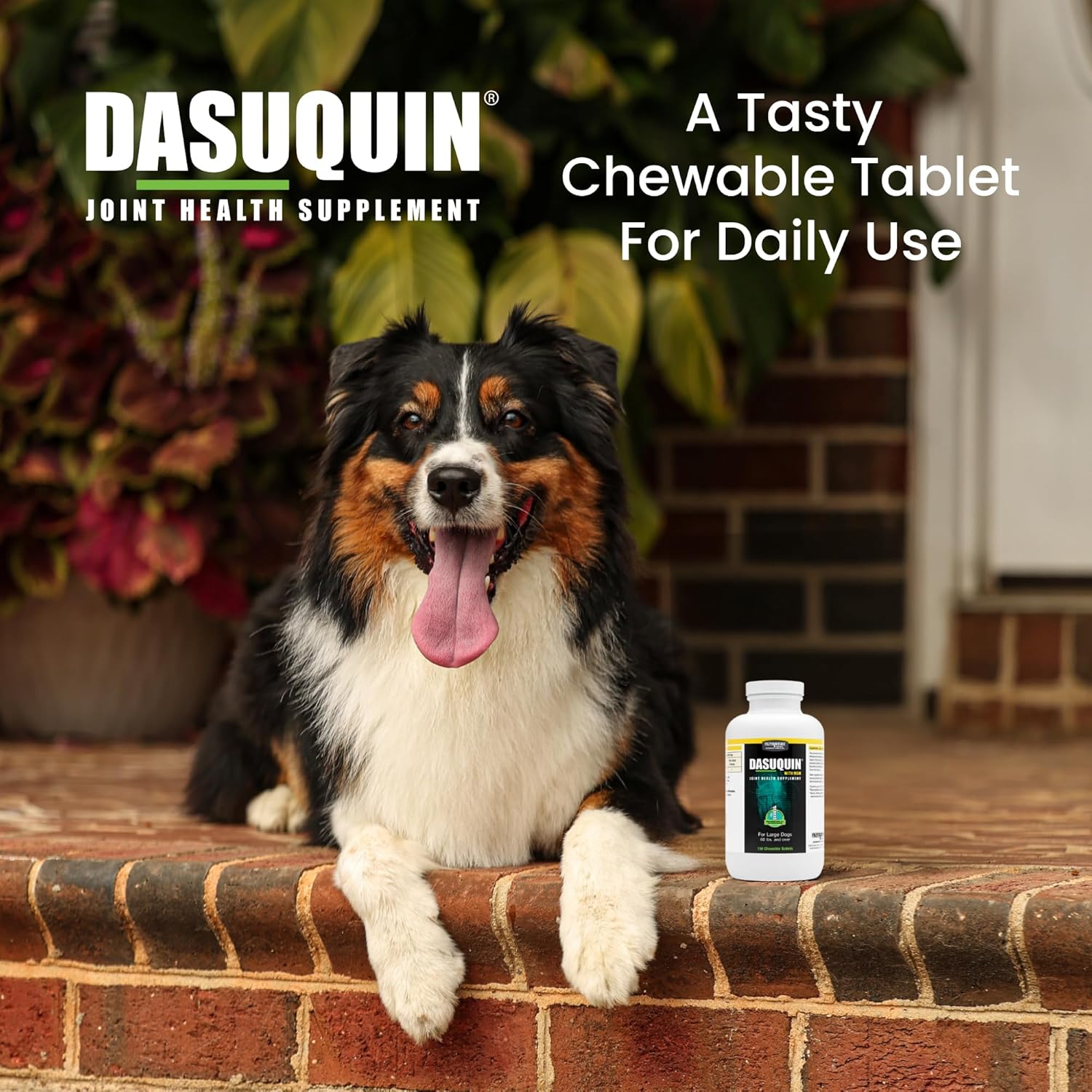 Nutramax Dasuquin with MSM Chewables, Large Dog, 150 Count