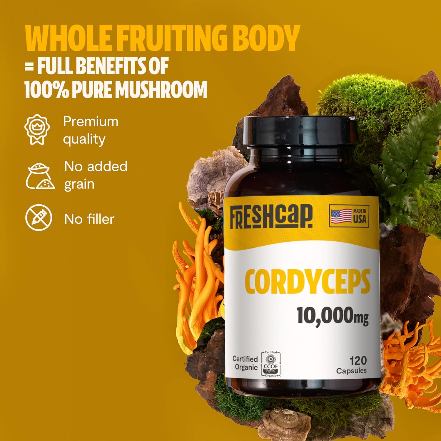 FreshCap Mushrooms Cordyceps Mushroom Capsules 10,000mg - Mushroom Extract, Energy Supplements, Ayurveda Nootropic Mushroom Supplements (120 Capsules)