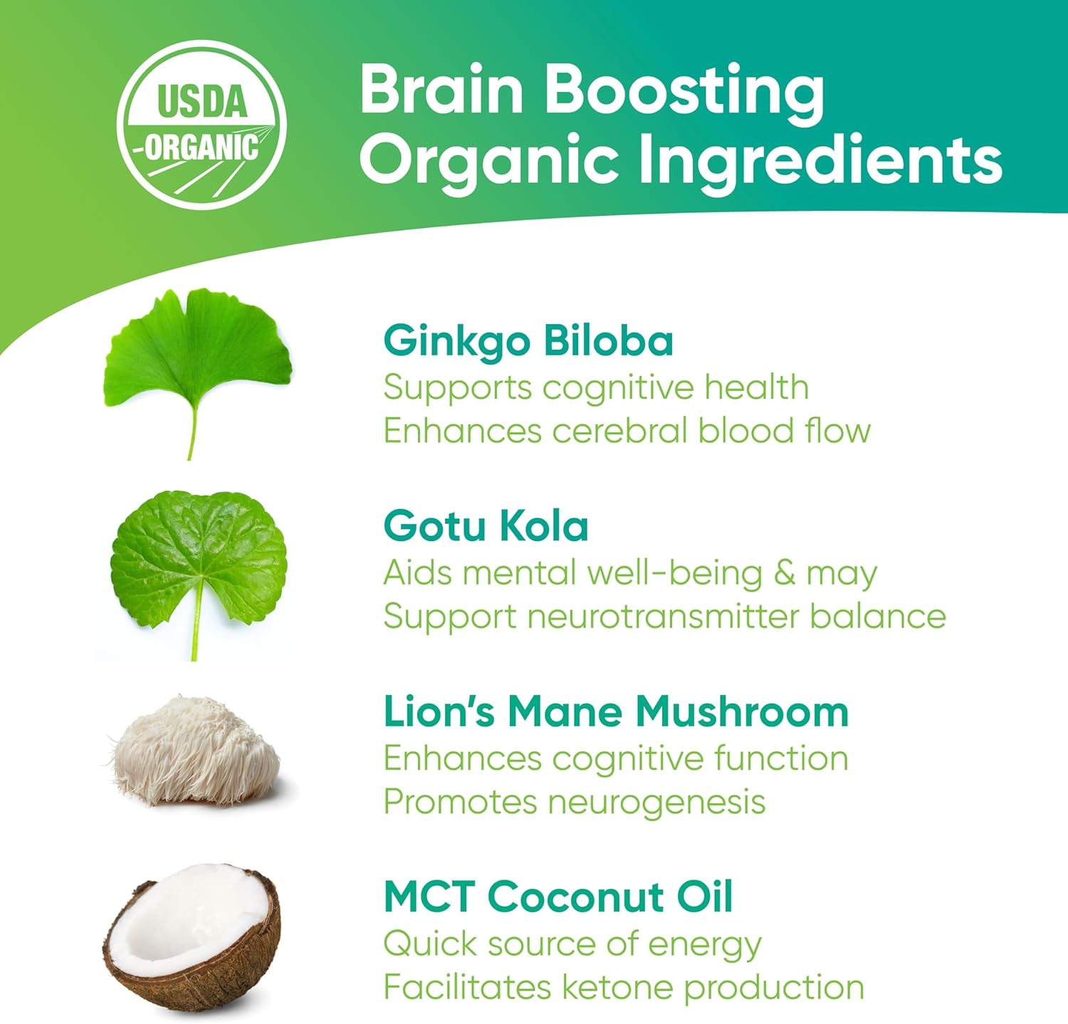 Brain Tea Focus & Memory - Brain Tea Organic Certified 4-in-1 Nootropic Herbal Supplement with Ginkgo Biloba, Gotu Kola, Lion’s Mane Mushroom, MCT Caffeine-Free for Mental Clarity (30 Sachets)