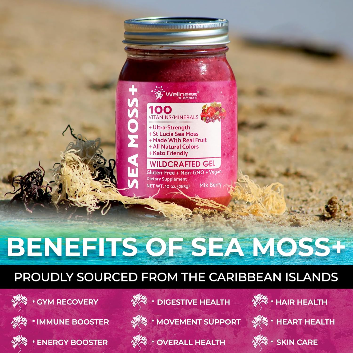 Irish Sea Moss Gel Raw - Wildcrafted Superfood Seamoss Gel - Mix Berry Flavor, Vitamin and Mineral-Rich from Pristine Caribbean Waters, Immune and Digestive Health Support - 10 oz.
