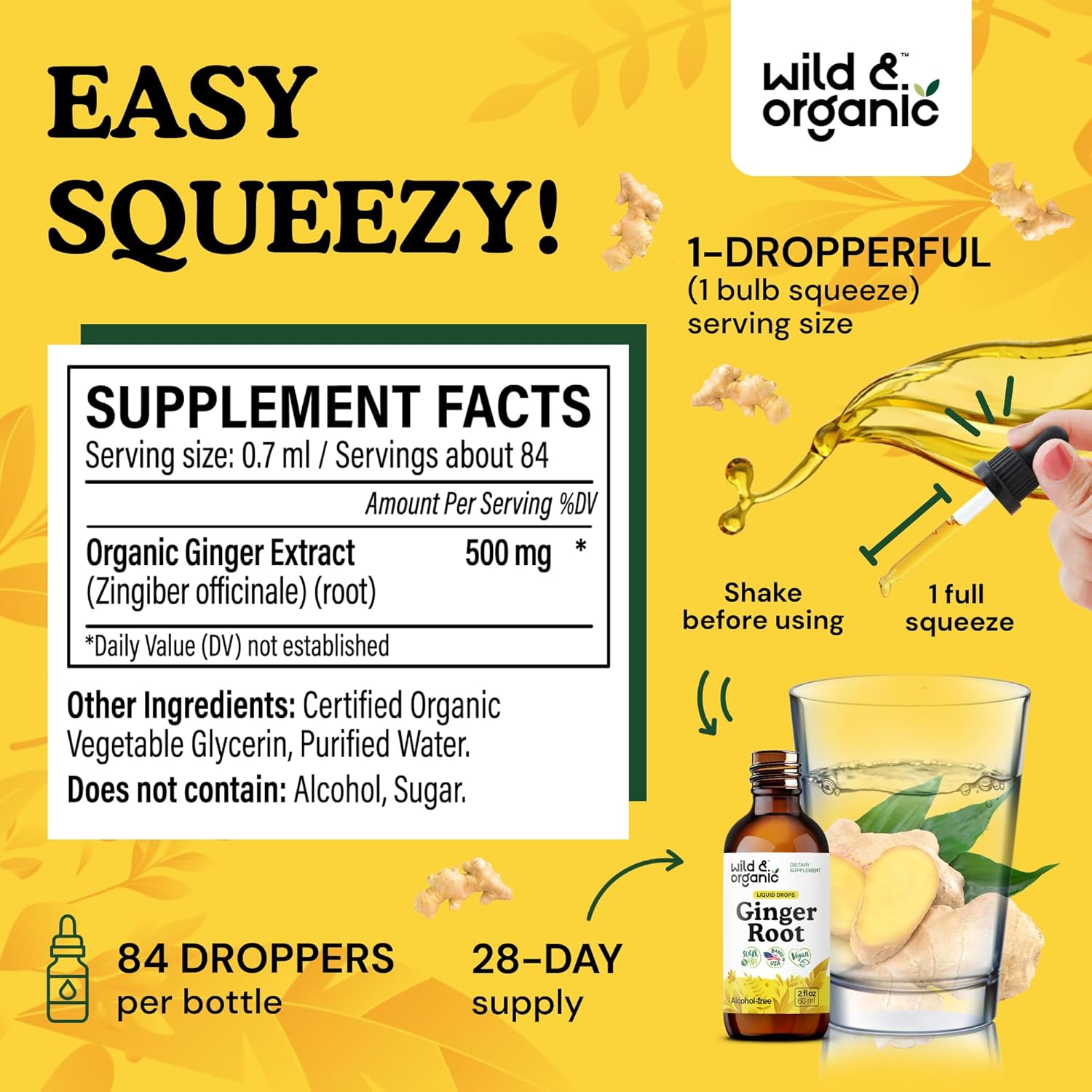 Wild & Organic Ginger Extract Liquid Drops - Immune & Digestive Support - Liquid Ginger Root Supplement - Vegan, Sugar & Alcohol-Free Tincture - 2 fl oz