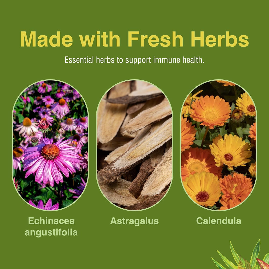 Herbs Etc. Immunoboost - Herbal Supplement for Immune System Support - Immune Health Support with Echinacea Angustifolia, Astragalus & Calendula - Gluten-Free - 60 Softgels (60 Servings)