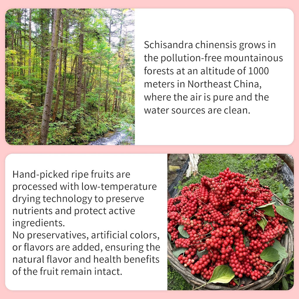 Wanhua Hall Schisandra Berry Dried Schisandra Chinensis 10.6oz/300g Schisandra Berry Tea Natural Wu Wei Zi Caffeine Free 五味子 五味子茶 北五味子